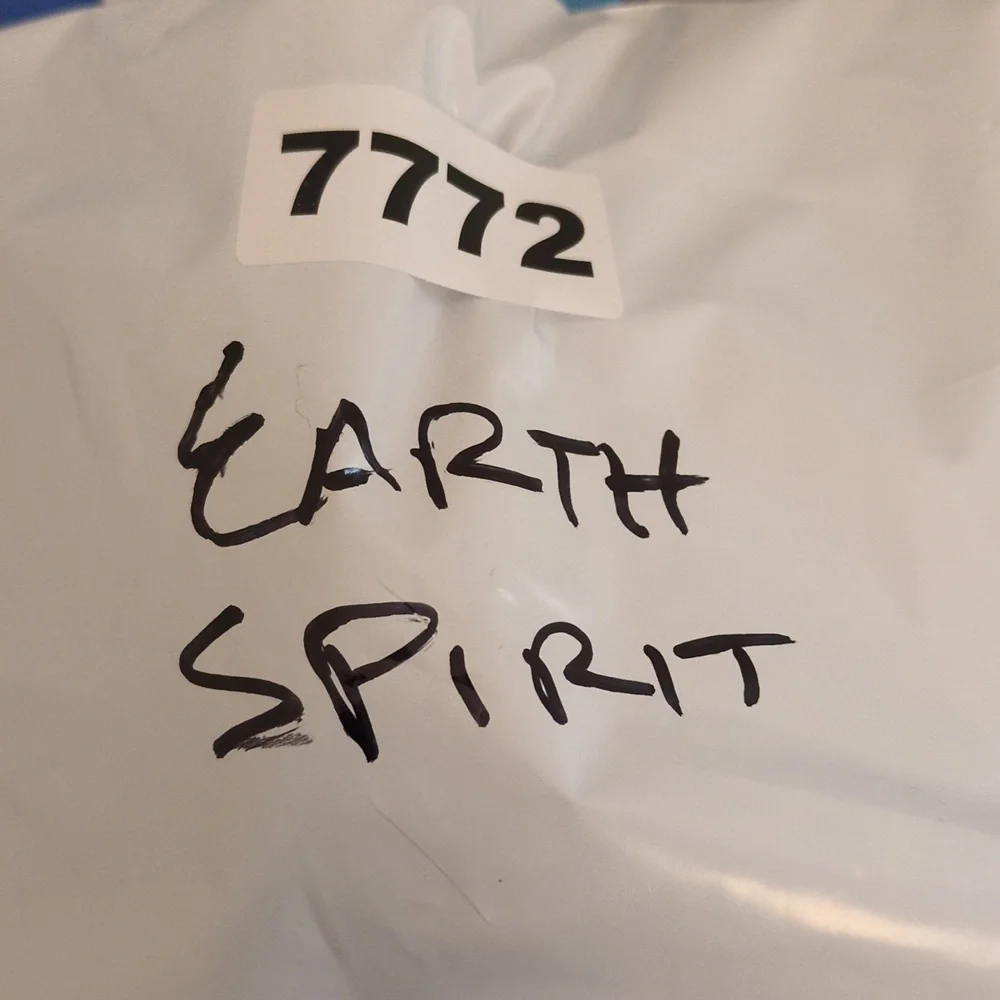 Earth Spirit item details